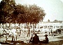 Padova-Mercato del bestiame in Prato della Valle,1902. (Adriano Danieli)